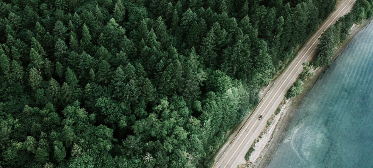 pexels-taryn-elliott-4183522