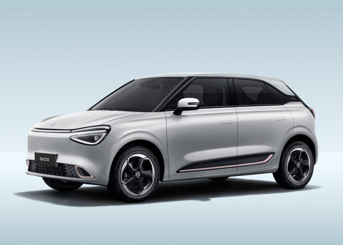 Dongfeng_BOX_abstract_Silver